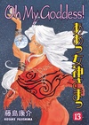 Volume 13
