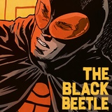 Black Beetle
